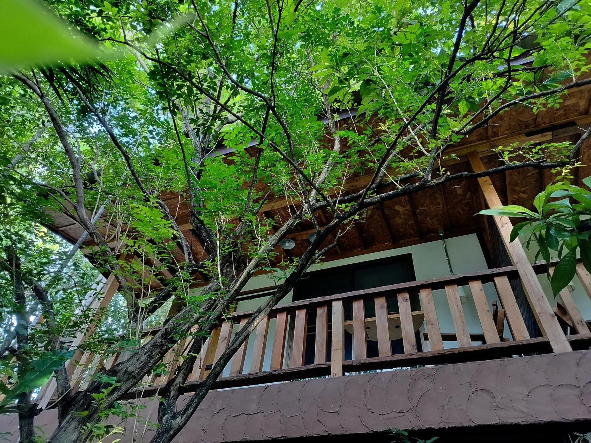 Oldy De Garden Chiang Mai Exterior foto