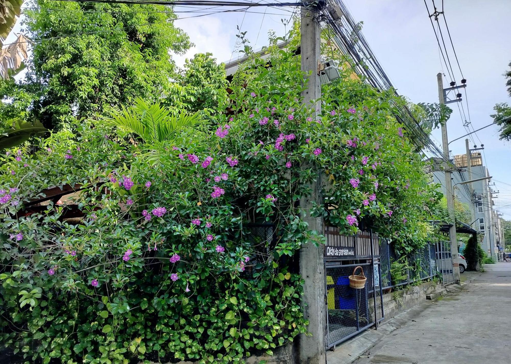 Oldy De Garden Chiang Mai Exterior foto