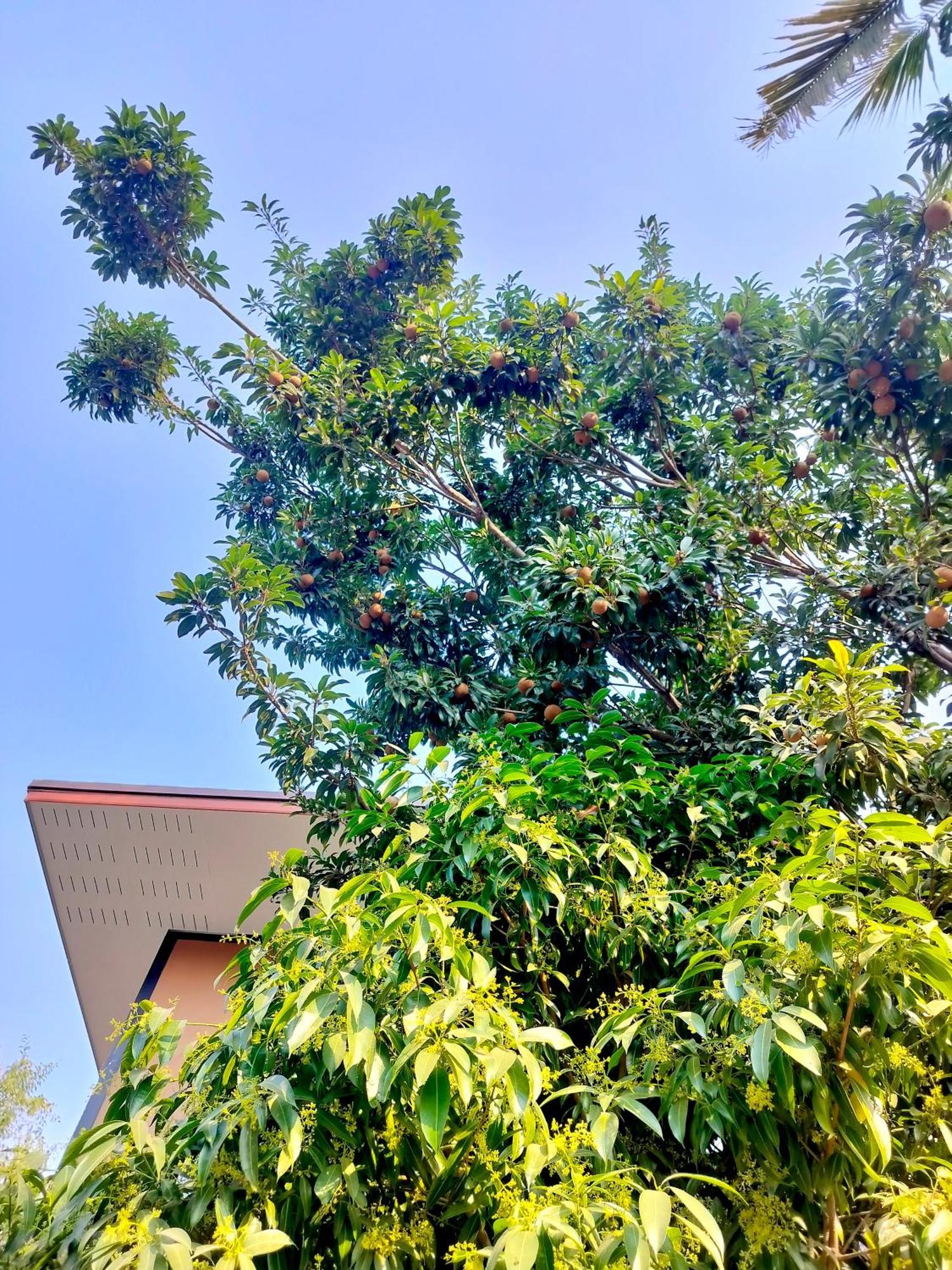 Oldy De Garden Chiang Mai Exterior foto