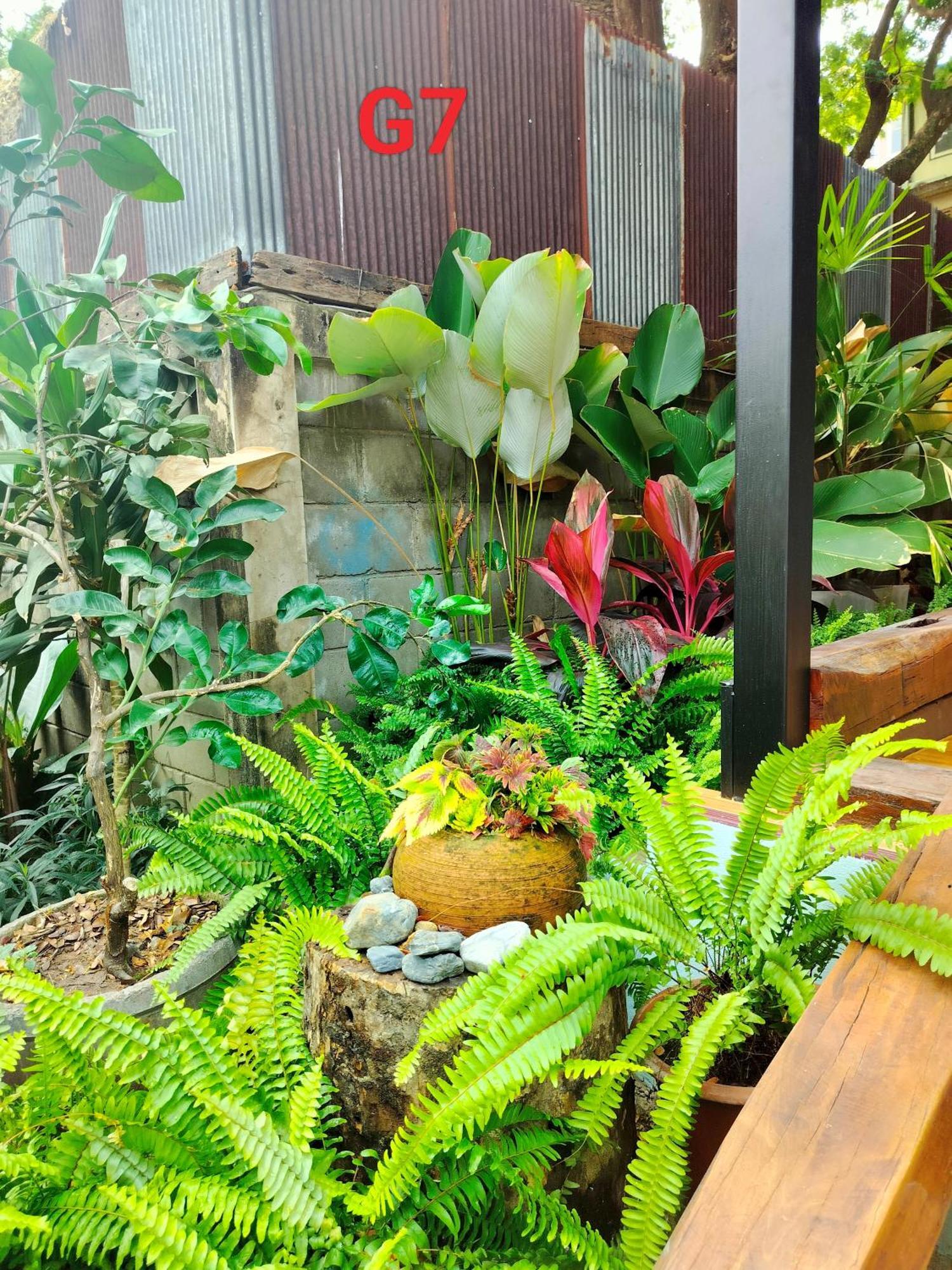 Oldy De Garden Chiang Mai Exterior foto